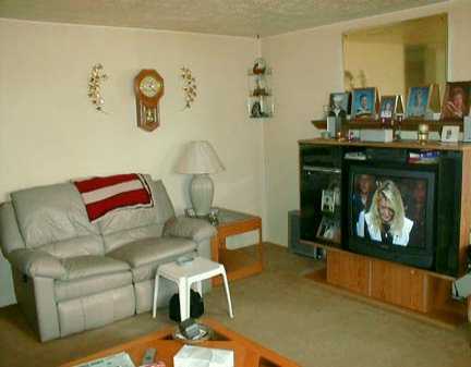 245 E Un, Cheswick, PA 15024 photo 3