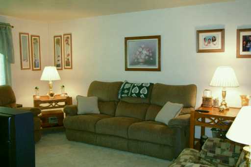 13781 Ormsby Dr, Irwin, PA 15642 photo 5