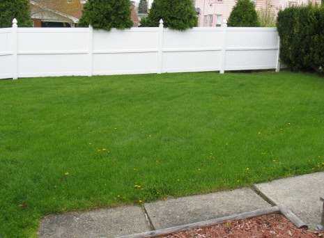 801 8th Ave, Irwin, PA 15642 photo 8