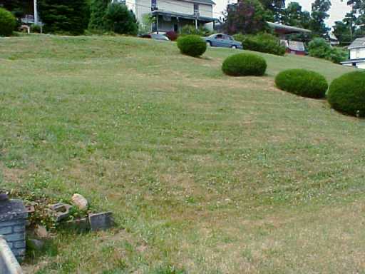 414 Main St, New Eagle, PA 15067 photo 7