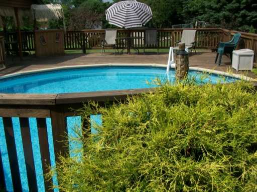 1242 Eckert, Monaca, PA 15061 photo 7