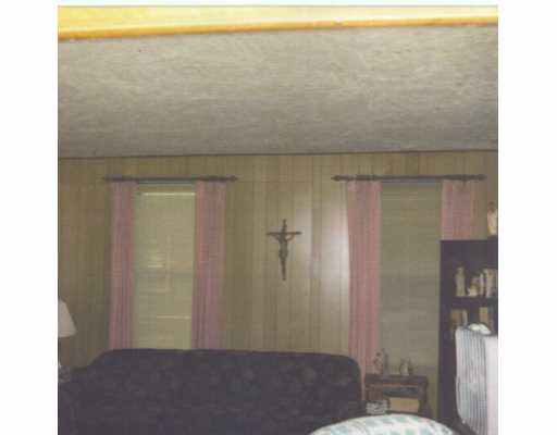 33 Webster St, Irwin, PA 15642 photo 3