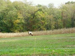 2138 Forest Dr, Apollo, PA 15613 photo 6