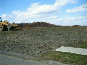 4032 Sinan Farm Dr, Export, PA 15632 photo 2