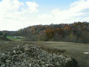 4032 Sinan Farm Dr, Export, PA 15632 photo 3