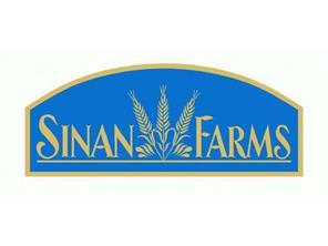 4032 Sinan Farm Dr, Export, PA 15632 photo 6