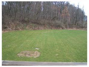 127 Pheasant Run Dr, Export, PA 15632 photo 8