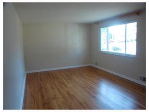 2050 Thomas Dr, Irwin, PA 15642 photo 7