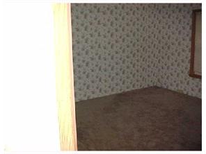 13541 Mike Rd, Irwin, PA 15642 photo 12
