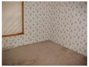 13541 Mike Rd, Irwin, PA 15642 photo 13