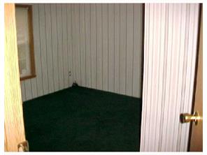 13541 Mike Rd, Irwin, PA 15642 photo 15