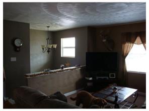 113 S Summit Dr, Apollo, PA 15613 photo 4