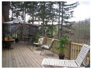 231 Paradise Dr, Export, PA 15632 photo 13