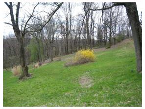 2801 Walters Ct, Export, PA 15632 photo 2