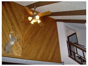 6024 Forest, Monaca, PA 15061 photo 6