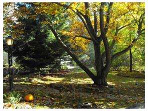 115 Orange Ln, Rector, PA 15677 photo 11