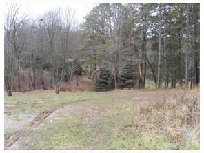 274 Thorn Run Rd, Export, PA 15632 photo 4