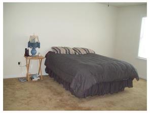 6008 Calisti, Export, PA 15632 photo 10