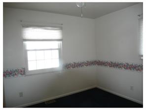 9699 Laurel Ave, Irwin, PA 15642 photo 6