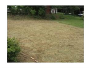 5583 E Monroe Ave, Export, PA 15632 photo 5