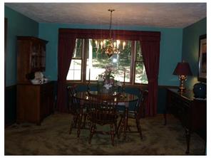 126 Spring Hollow Rd, Apollo, PA 15613 photo 6