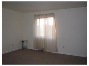 1154 Ohio, Export, PA 15632 photo 5