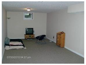 438 Chapeldale Dr, Apollo, PA 15613 photo 16