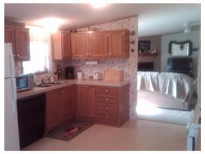 341 Chambers St, Apollo, PA 15613 photo 4