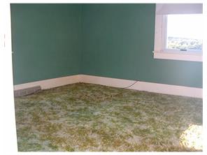 545 Walnut St, Vandergrift, PA 15690 photo 8
