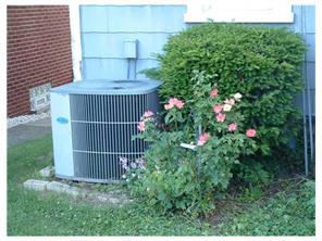 545 Walnut St, Vandergrift, PA 15690 photo 15