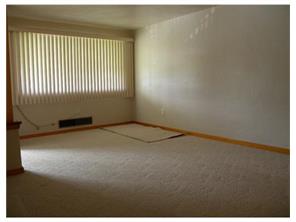 13460 St Clair Dr, Irwin, PA 15642 photo 5