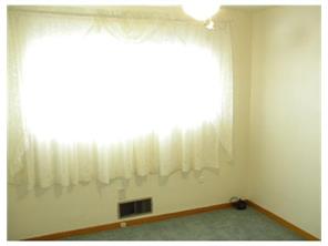 13460 St Clair Dr, Irwin, PA 15642 photo 11
