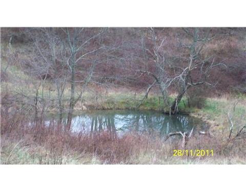 291 Echo Ridge Rd, Apollo, PA 15613 photo 8