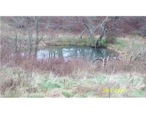 291 Echo Ridge Rd, Apollo, PA 15613 photo 2