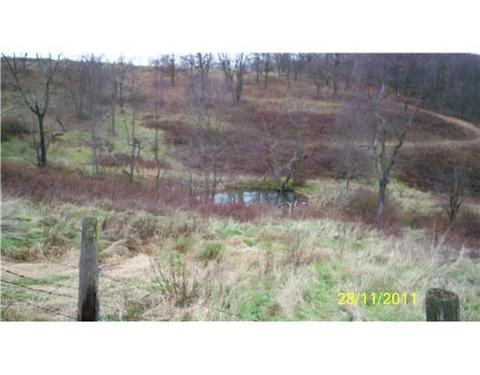 291 Echo Ridge Rd, Apollo, PA 15613 photo 3