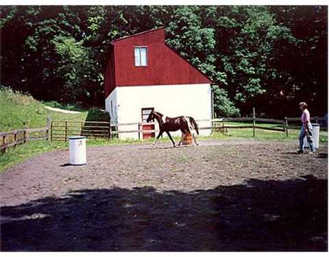 242 Patterson Rd, Nottingham, PA 15330 photo 17