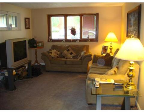 116 Eileen Dr, Brentwood, PA 15227 photo 4