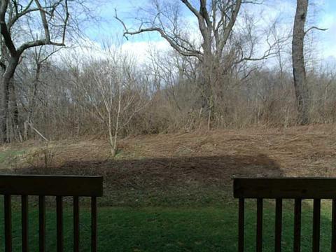 6436 Lindsey Ln, Export, PA 15632 photo 18
