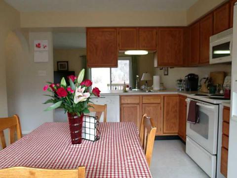 6436 Lindsey Ln, Export, PA 15632 photo 6