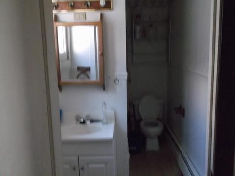 162 Main St, New Eagle, PA 15067 photo 8