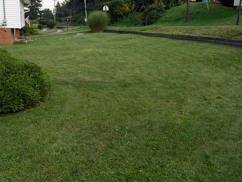 5095 Mcanulty Rd, Pittsburgh, PA 15236 photo 5