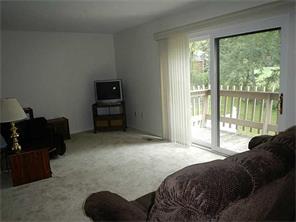 302 Williamsburg, Export, PA 15632 photo 10
