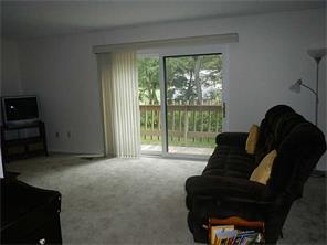 302 Williamsburg, Export, PA 15632 photo 9
