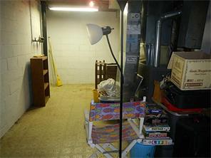 302 Williamsburg, Export, PA 15632 photo 20