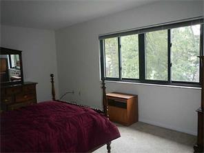 302 Williamsburg, Export, PA 15632 photo 13