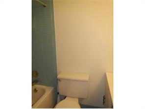302 Williamsburg, Export, PA 15632 photo 15