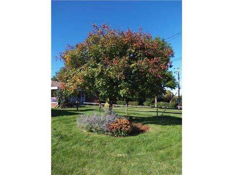 232 Wayne St, Lower Burrell, PA 15068 photo 25