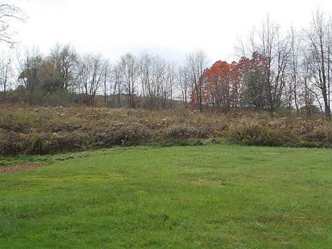 186 Wright Rd, Apollo, PA 15613 photo 19