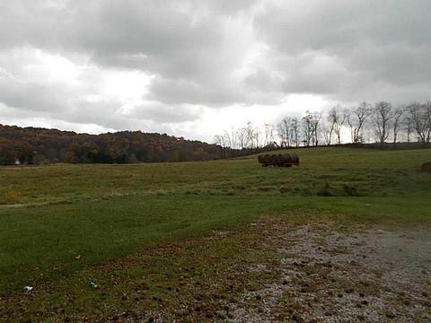 186 Wright Rd, Apollo, PA 15613 photo 18