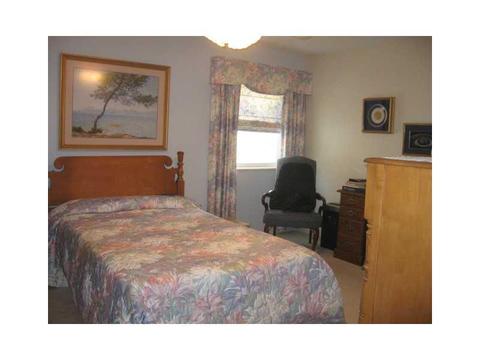 305 Georgetown Ln, Export, PA 15632 photo 14